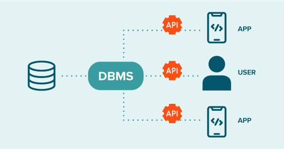 What is a database management system or DBMS?